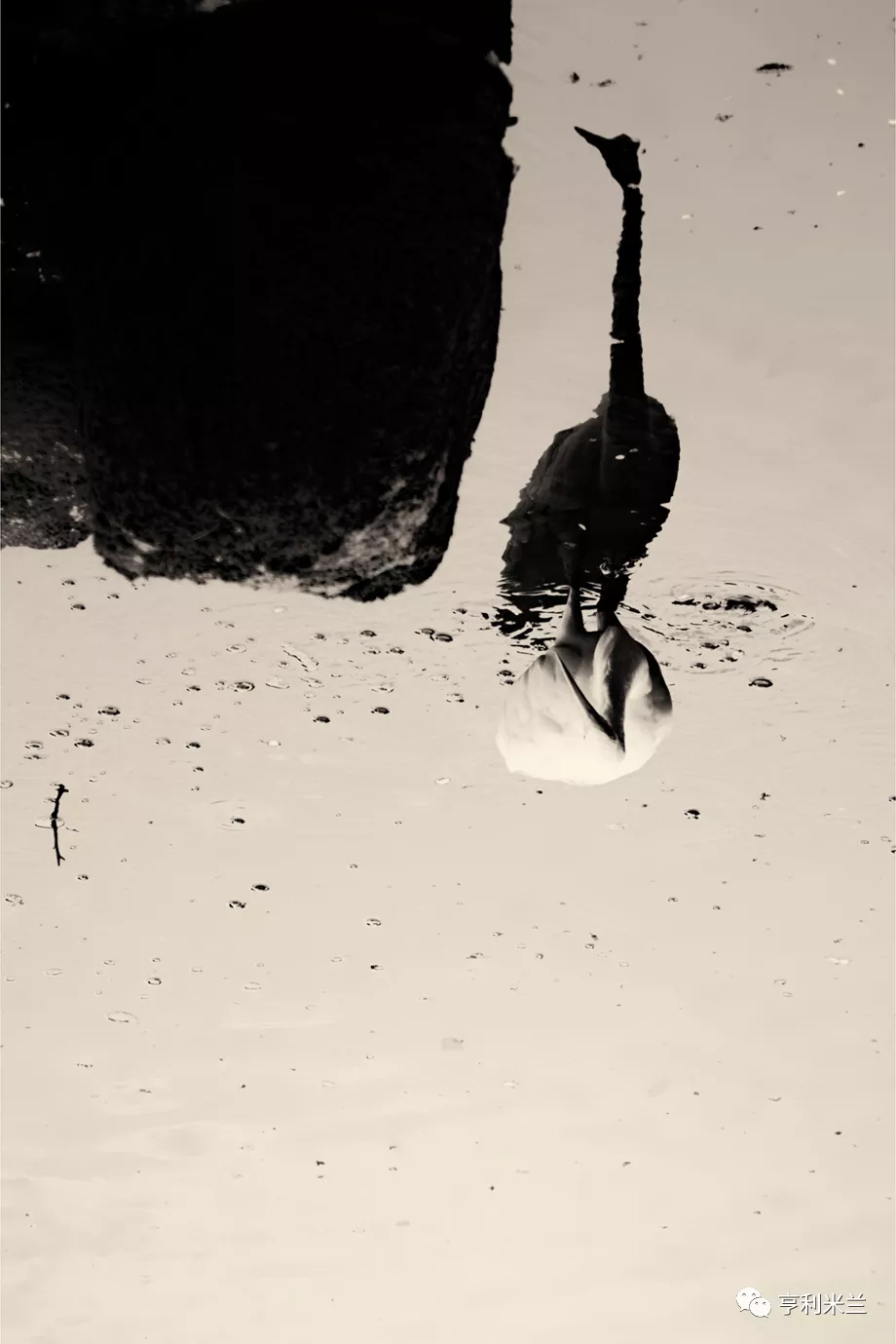 1627461042144772.jpg 7.jpg